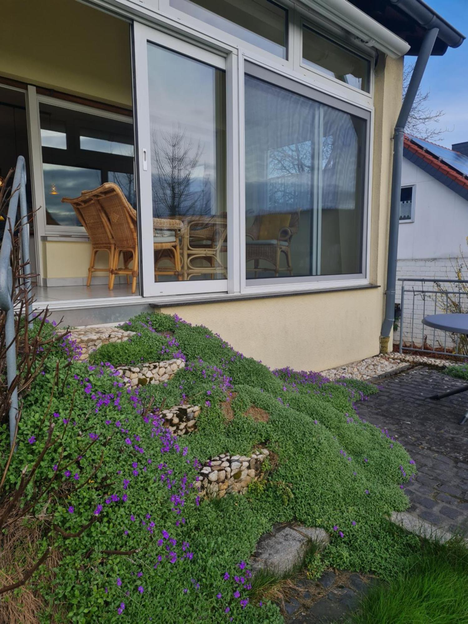 Ferienwohnung Im Rurtal Kreuzau 외부 사진
