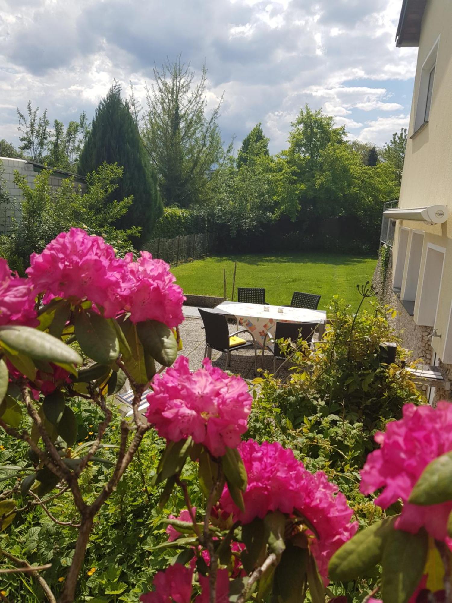Ferienwohnung Im Rurtal Kreuzau 외부 사진